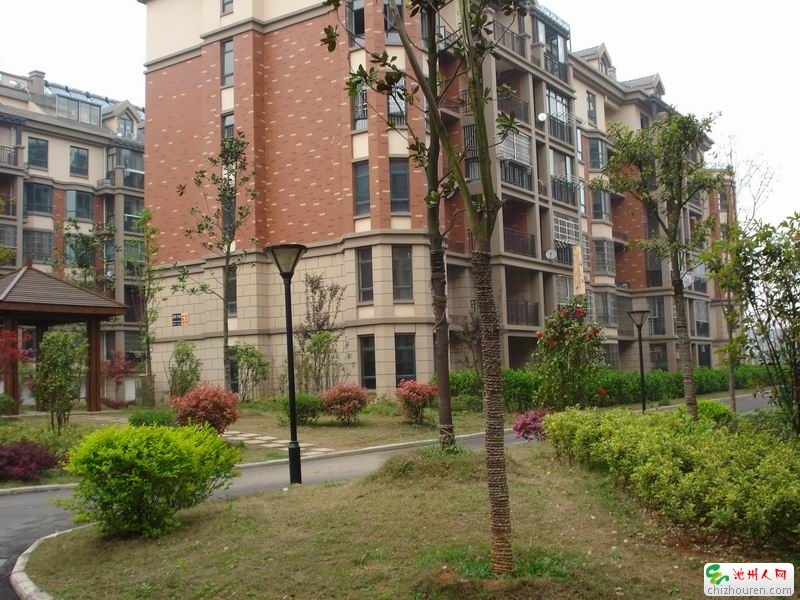 池州森橋印象最新房價(jià)深度解析