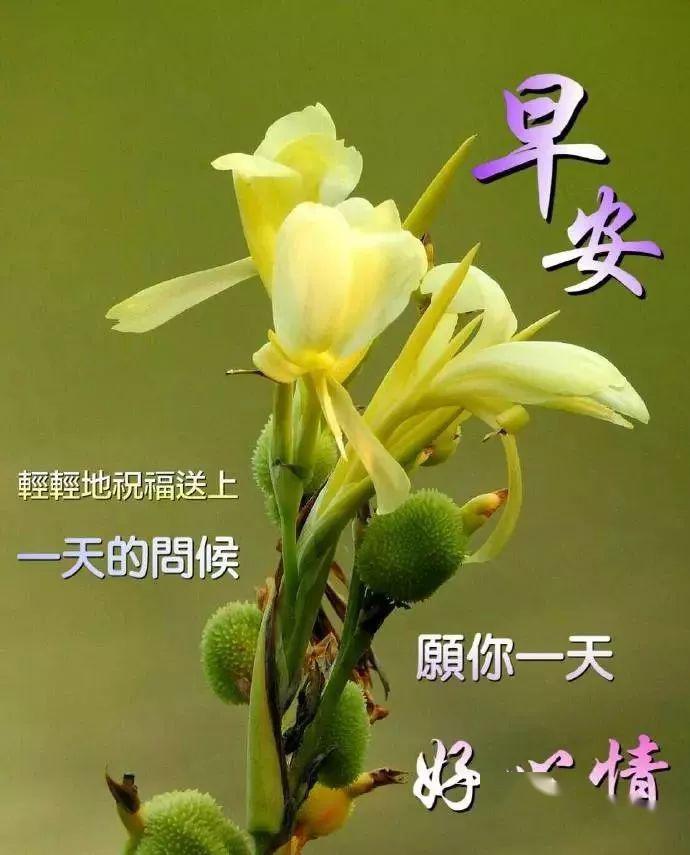 早安問候語，迎接美好的新一天——2017年最新問候語精選