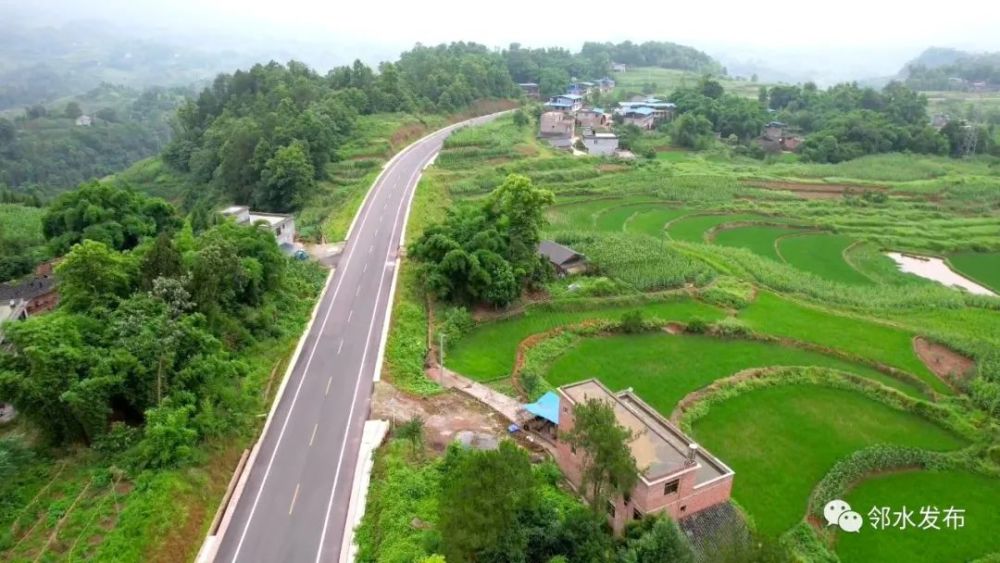 鄰水202省道最新動(dòng)態(tài)，邁向現(xiàn)代化交通建設(shè)的步伐穩(wěn)健前行