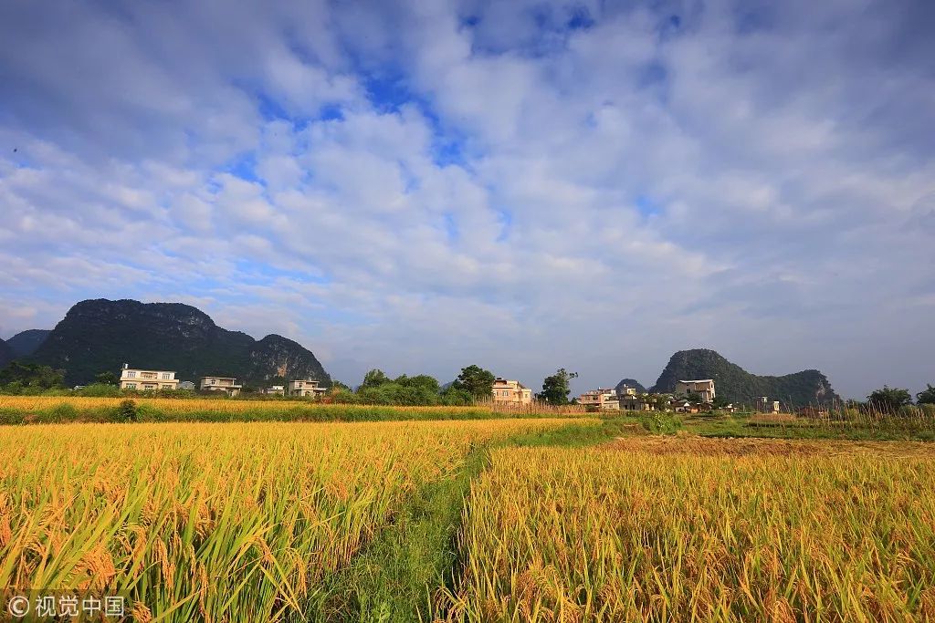 井岡山旅游上市最新動(dòng)態(tài)，發(fā)展機(jī)遇與挑戰(zhàn)并存