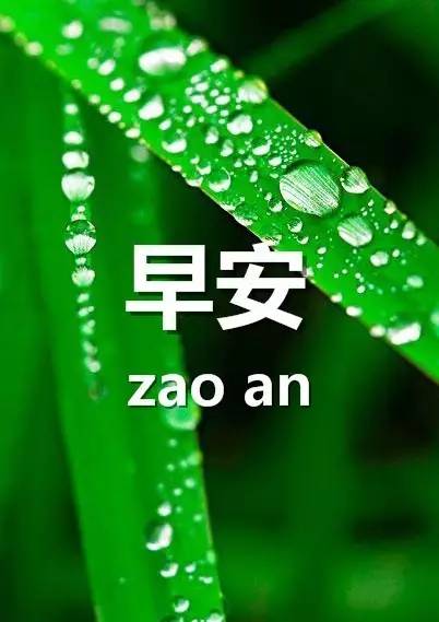 最新早安問候語微信，開啟美好一天的溫馨問候