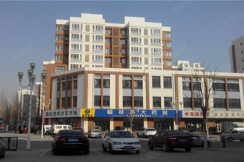 金地藝城悅府最新動(dòng)態(tài)，揭開未來居住的新篇章