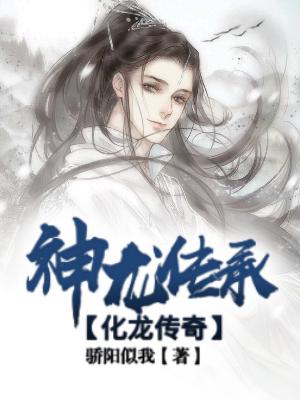 九轉(zhuǎn)神龍訣最新更新，神秘力量的覺醒與探索