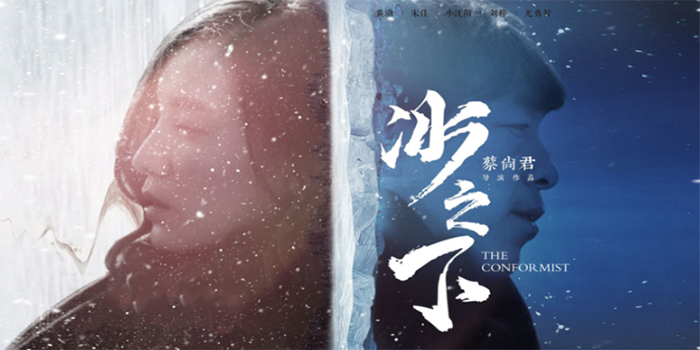 楚離余向晚最新章節(jié)，命運的交織與情感的碰撞