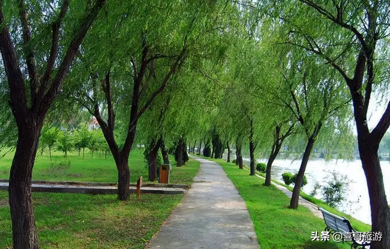 阜陽(yáng)東方明珠最新動(dòng)態(tài)，揭開發(fā)展新篇章的序幕