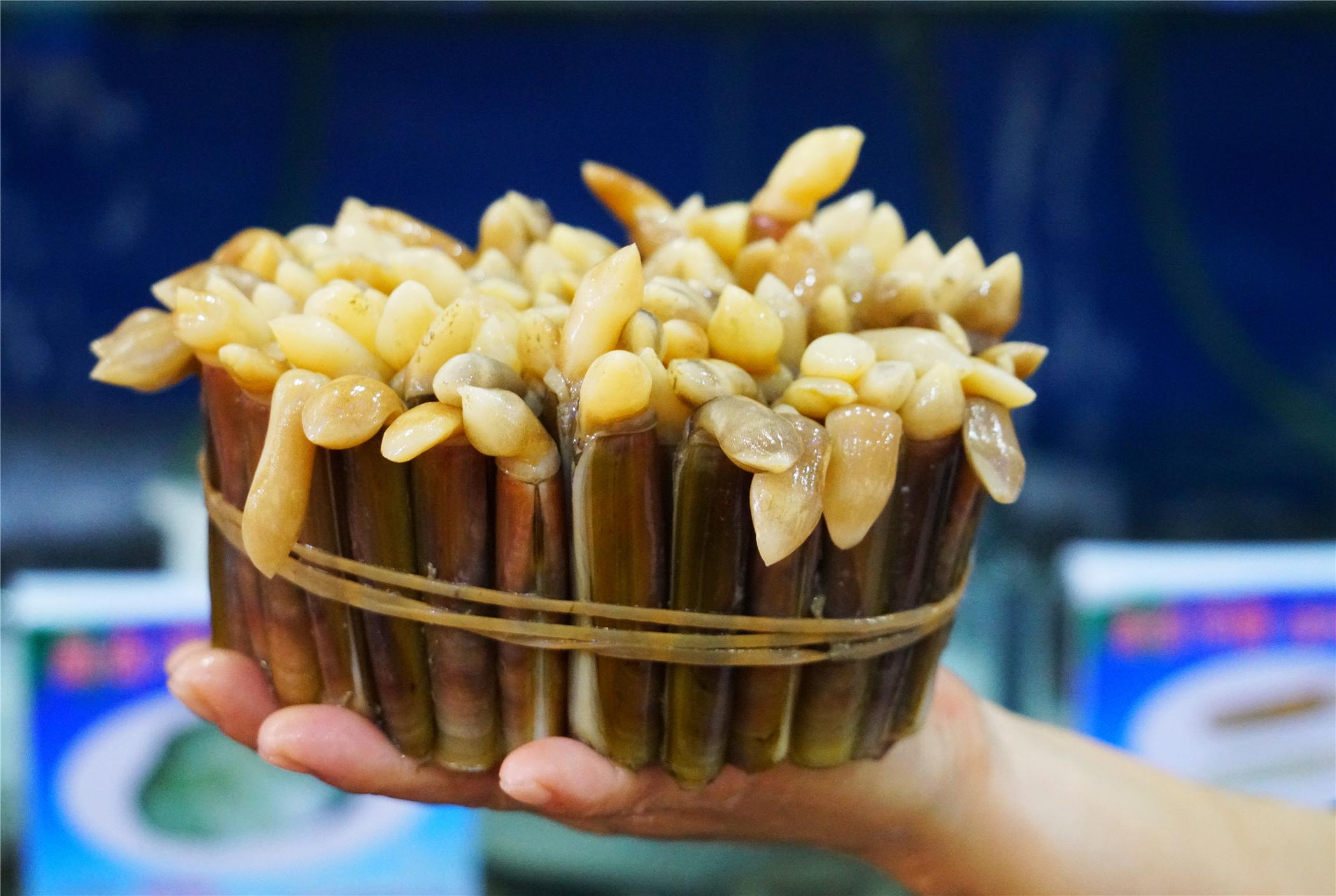 三亞最新景點(diǎn)探索，熱帶風(fēng)情的新面貌